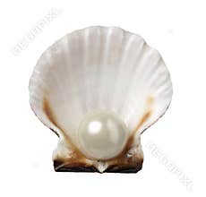 Sea shell and pearl holiday travel