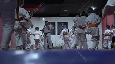 Children with coach work out the karate kick