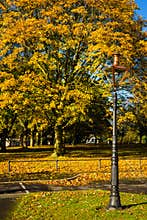 Autumn in Phoenix Park. Dublin. Ireland