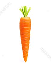 Carrot isolated on white
