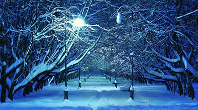 Winter Park Night Scene