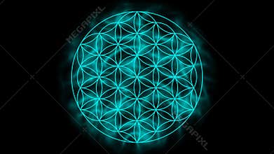 Flower of life with aura
