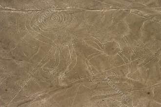 Nazca Monkey