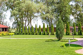 Freshly mowed rows of green lawn at country residence with summerhouse. Hedge of fresh cedars. Landscape design and