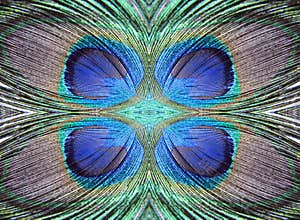 Geometric peacock feathers pattern