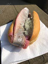 Young herring or matie fish sandwich