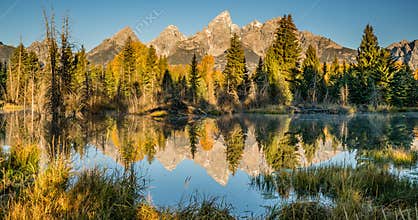 Schwabacher Landing Reflection