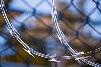Razor Wire and Fence Background