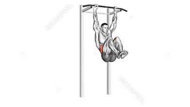 Hanging leg hip raise. Anatomy of fitness and bodybuilding. Abdominal