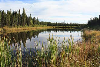 Boreal forest watershed