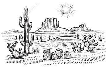 Desert landscape vector illustration with saguaro and opuntia blooming cactus.