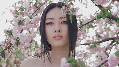 Portrait of a beautiful asian girl outdoors against spring blossom tree.
