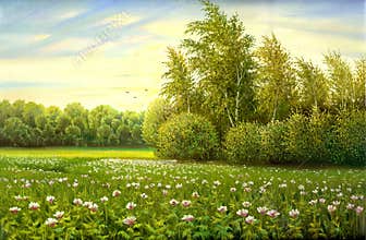 Flower field