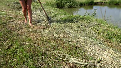 Barefoot woman turning dry hay at farm in summer