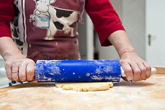 Rolling-pin