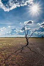 Australia at sunset on a clear winter`s evening in the Northern Territory,