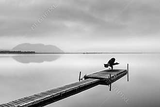 Fine Art Image of Yoga Practice