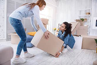 Pleasant young girl helping her roommate lift up box