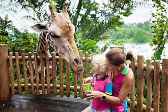 Kids feed giraffe at zoo. Family at safari park.