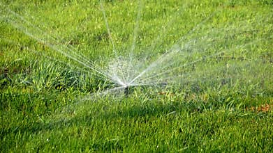 Summer landscape. Automatic watering system for plants and lawn. Water sprinkler showering grass in park.
