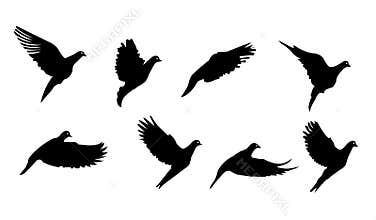 Black bird flying symbol vector