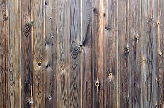 Old grunge dark brown wood panel pattern with beautiful abstract grain surface texture, vertical striped background or backdrop i