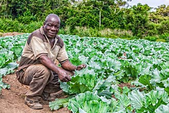 CABINDA/ANGOLA - 09 JUN 2010 - Portrait of African rural farmer in plantation.