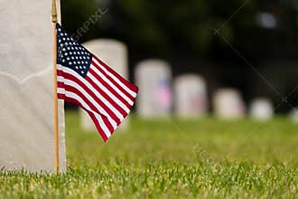 Small American flag at National cemetary - Memorial Day display