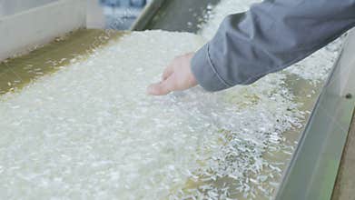 Raw material for synthetic fiber moves on conveyor