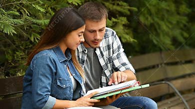 Students studying together in a park