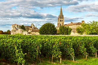 Sunny landscape of bordeaux vineyards in Saint Emilion in Aquitaine region, France