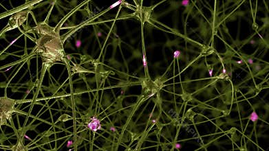 Journey through a network of neuronal cells and synapses in the brain through which electrical impulses and discharges pass