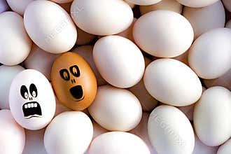 White and Brown eggs with drawn cartoon faces in love on eggs ba