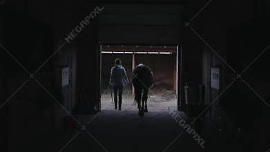 Back view of a girl leading a horse out of the stall