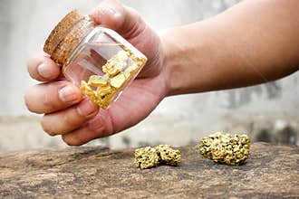 Human hands are swinging bottles that contain pure gold minerals