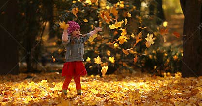 Cute little girl playing with leaves in autumnal forest.