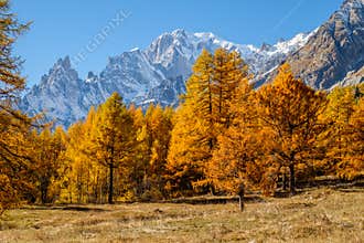 View to the mont blanc autumn. Italy Coumayeur Ferret valley