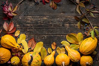 Happy Thanksgiving Background. Autumn Harvest and Holiday border. Selection of various pumpkins on dark wooden background.