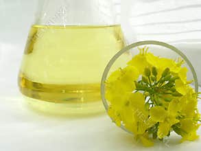 Oil -
