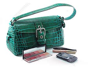 Handbag with cell phone and makeup