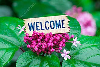 Welcome in wooden card