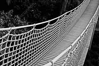 Suspension bridge in Black and White
