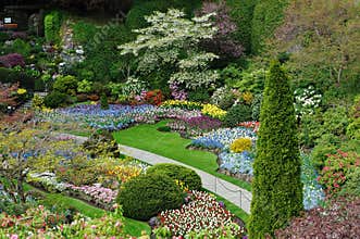 Gardens landscaping