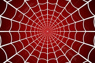 Spider web. Cobweb on Red background. Vector illustration