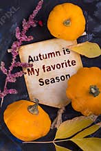 Autumn is my favorite season