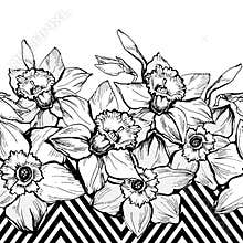 Geometrical seamless border painting with hand drown Narcissus.