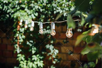 Light bulb decor in outdoor party. Party