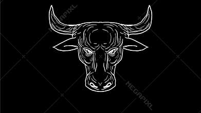 Texas Longhorn Bull Snorting Drawing 2D Animation