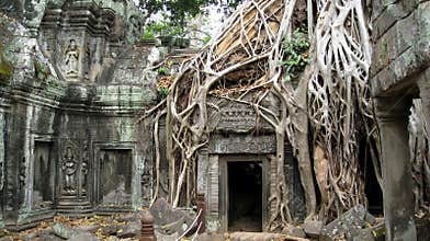 Ta Prohm Temple Siem Reap Cambodia- Ancient Angkor
