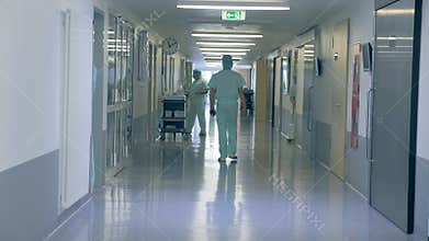 Back view of a male doctor walking along the hospital corridor
